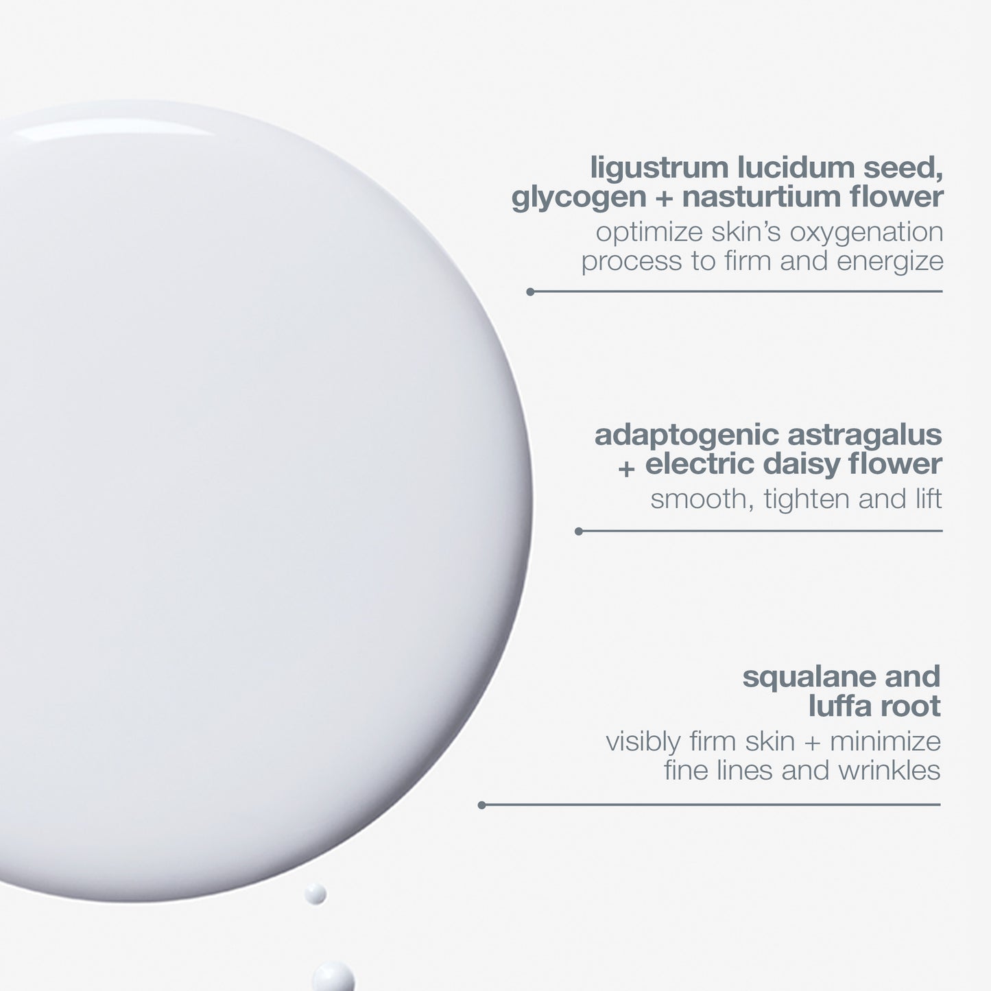 A large drop of white serum labeled with Dermalogica Phyto Nature Oxygen Cream’s key ingredients—ligustrum lucidium seed, adaptogenic astragalus, and squalane with luffa root—to hydrate skin as a liquid cream moisturizer.