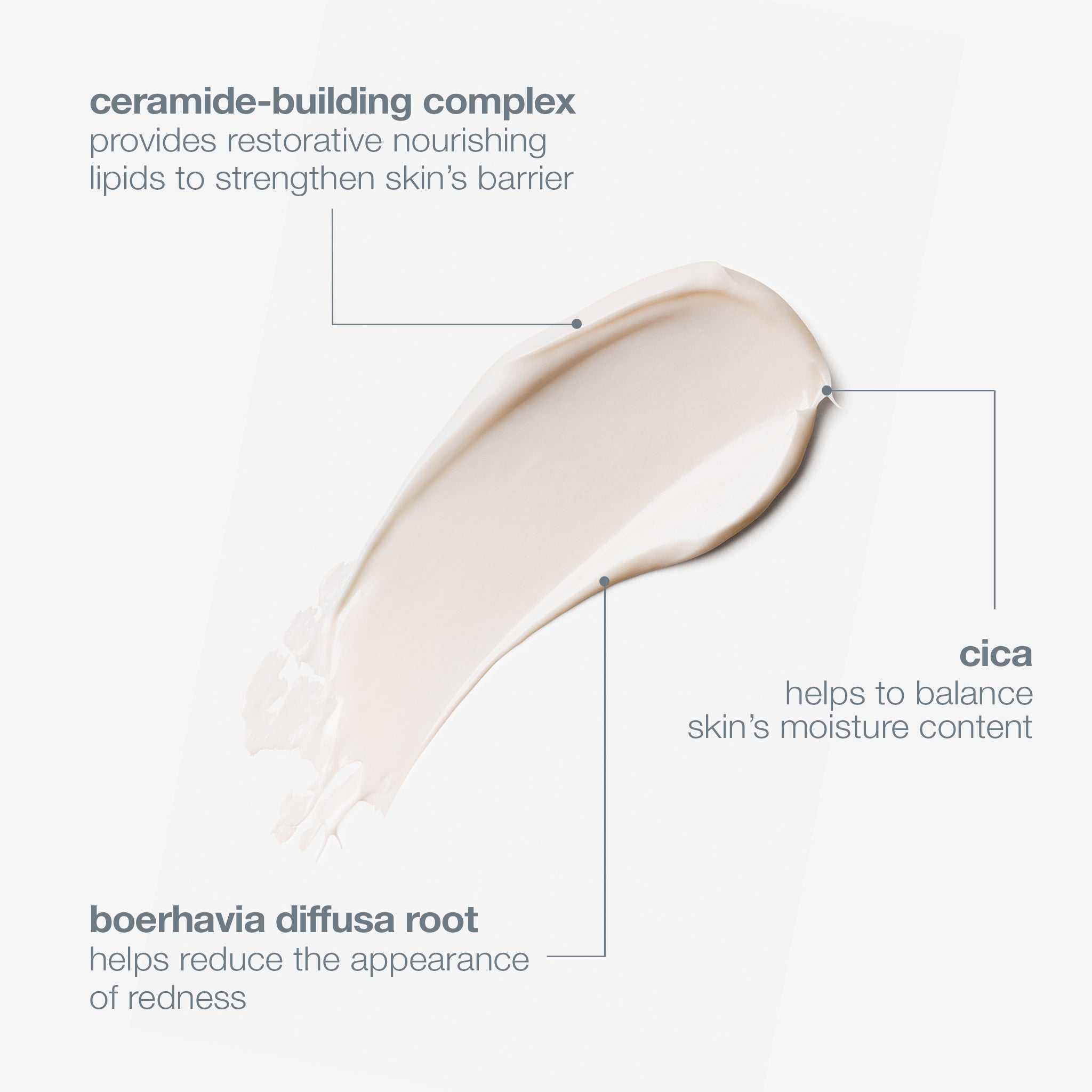 stabilizing repair cream – Dermalogica South Africa