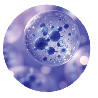 A close-up, digitally rendered image of spherical blue and purple molecules or cells floating in a translucent, glowing environment, suggesting a microscopic or scientific view.