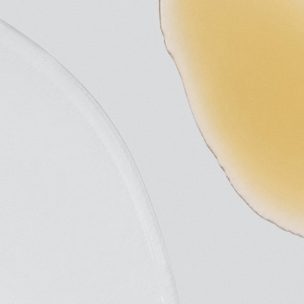 Close-up of two overlapping translucent shapes, white and yellow, on light gray—evoking the harmonious fusion of Dermalogica’s phyto nature firming serum, a dual-phase formula that helps reduce skin ageing for a visibly younger look.